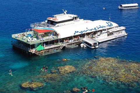 Cairns 2-Day Combo: Great Barrier Reef Cruise And Kuranda - Accommodation Burleigh 5