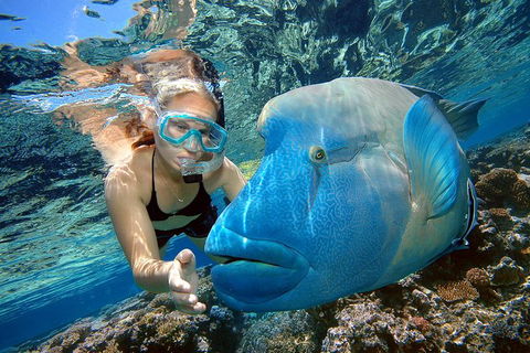 Cairns 2-Day Combo: Great Barrier Reef Cruise And Kuranda - Accommodation Burleigh 0