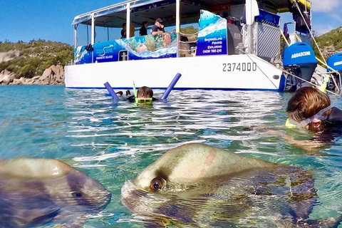 Aquascene Magnetic Island Discovery Tour - Accommodation Burleigh 4