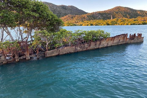 Aquascene Magnetic Island Discovery Tour - Accommodation Burleigh 1