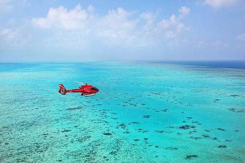 Ultimate Great Barrier Reef And Rainforest 45-minute Helicopter Tour - Accommodation Burleigh 4