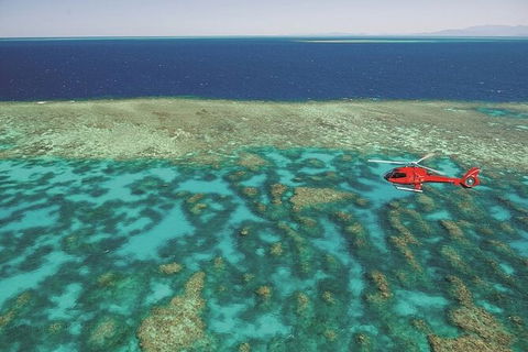 Ultimate Great Barrier Reef And Rainforest 45-minute Helicopter Tour - Accommodation Burleigh 2
