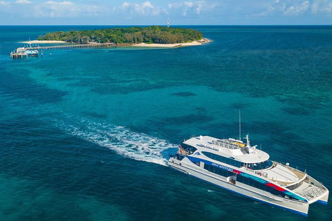 Ultimate 3-Day Great Barrier Reef Cruise Pass - Accommodation Burleigh 5