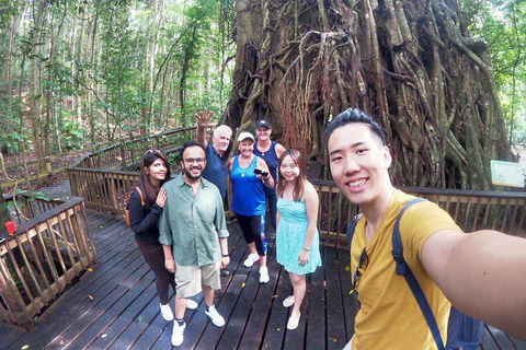 Cairns 4WD Waterfall And Rainforest Tour Including Kuranda Scenic Railway - Accommodation Burleigh 6