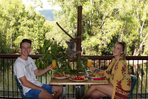Hartley\'s Crocodile Adventures Entry Ticket And Breakfast With The Koalas - Accommodation Burleigh 0