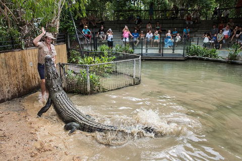 Hartley\'s Crocodile Adventures Entry Ticket And Breakfast With The Koalas - Accommodation Burleigh 2