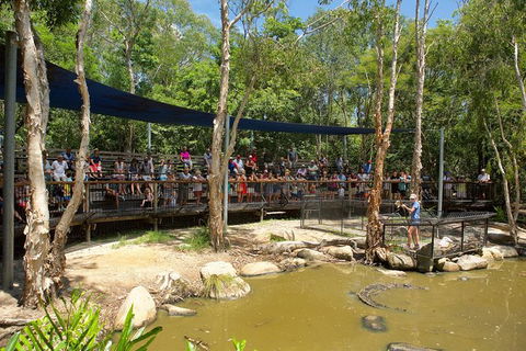 Hartley\'s Crocodile Adventures Entry Ticket And Breakfast With The Koalas - Accommodation Burleigh 5