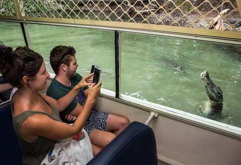 Hartley\'s Crocodile Adventures Entry Ticket And Breakfast With The Koalas - Accommodation Burleigh 7