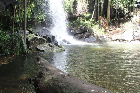The Gold Experience:Private Day Tour In Lamington National Park Or Mt Tambourine - Accommodation Burleigh 0