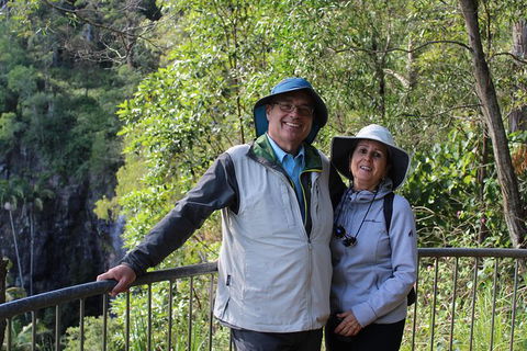 The Gold Experience:Private Day Tour In Lamington National Park Or Mt Tambourine - Accommodation Burleigh 1