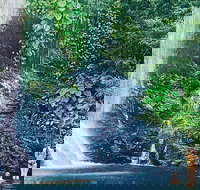 Morning Half Day Tour - Accommodation Burleigh