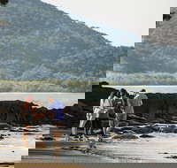 Sightseeing Tour - Full Day - Accommodation Burleigh