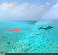 Port Douglas - Cruise and 10 Minute Scenic Flight - Accommodation Burleigh