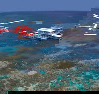 Helicopter and Cruise Packages From Port Douglas - Accommodation Burleigh