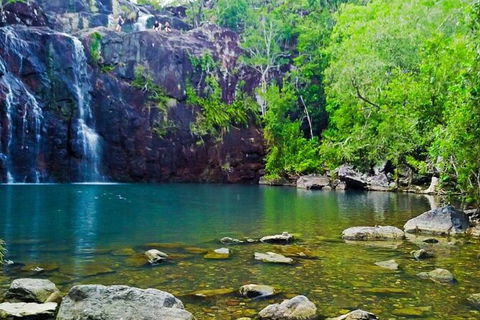 Reef, Wildlife & Rainforest - Reef & Beyond Guided Holidays - Accommodation Burleigh 0