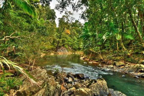 Reef, Wildlife & Rainforest - Reef & Beyond Guided Holidays - Accommodation Burleigh 3