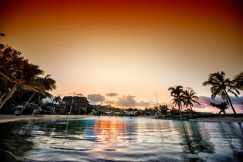 Reef, Wildlife & Rainforest - Reef & Beyond Guided Holidays - Accommodation Burleigh 6