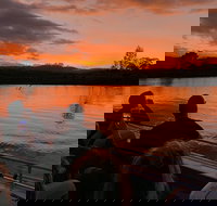 Daintree River Sunset Cruise - Accommodation Burleigh