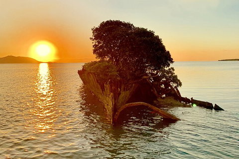 Aquascene Magnetic Island Sunset & Shipwreck Tour - Accommodation Burleigh 3