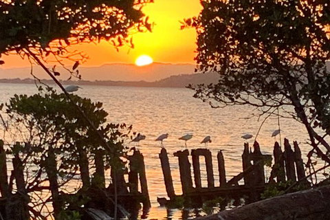 Aquascene Magnetic Island Sunset & Shipwreck Tour - Accommodation Burleigh 2