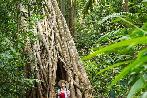 Rainforest To Reef Experience - Reef And Beyond Guided Holidays - Accommodation Burleigh 2
