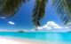 Rainforest To Reef Experience - Reef And Beyond Guided Holidays - thumb 1
