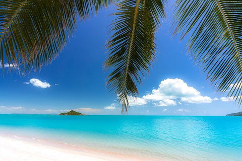 Rainforest To Reef Experience - Reef And Beyond Guided Holidays - Accommodation Burleigh 1