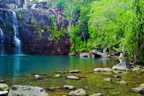 Rainforest To Reef Experience - Reef And Beyond Guided Holidays - Accommodation Burleigh 5