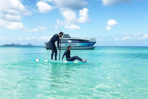 Rainforest To Reef Experience - Reef And Beyond Guided Holidays - Accommodation Burleigh 3