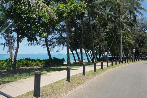 Private Transfers - Cairns Airport To Palm Cove - Accommodation Burleigh 6