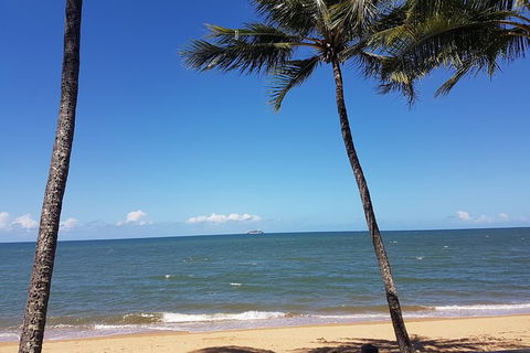 Private Transfers - Cairns Airport To Palm Cove - Accommodation Burleigh 8