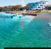 Stand Up Paddle Board Rental in Sunshine Coast