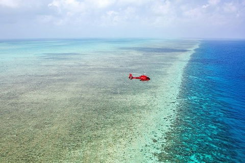 Day Tour To Kuranda, Rainforest And Port Douglas With Flight - Accommodation Burleigh 3
