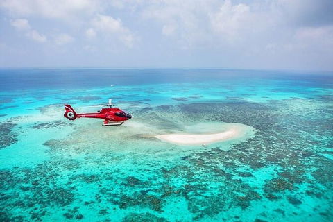 Day Tour To Kuranda, Rainforest And Port Douglas With Flight - Accommodation Burleigh 2