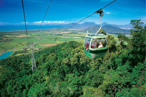 Day Tour To Kuranda, Rainforest And Port Douglas With Flight - Accommodation Burleigh 5