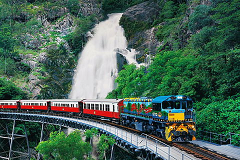 Day Tour To Kuranda, Rainforest And Port Douglas With Flight - Accommodation Burleigh 4