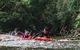 Mossman Gorge Adventure Day - thumb 0