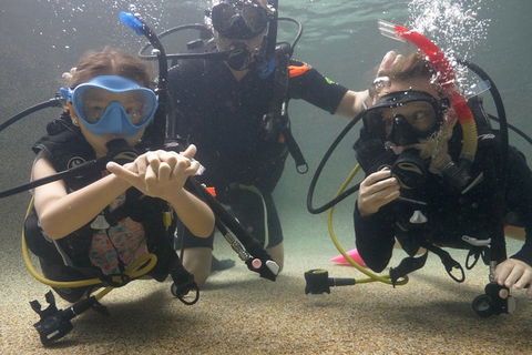 Scuba Kids- Padi Bubblemaker Course - Accommodation Burleigh 4