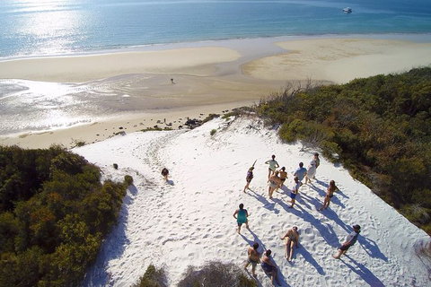 Remote Fraser Island & Whale Experience - Accommodation Burleigh 2