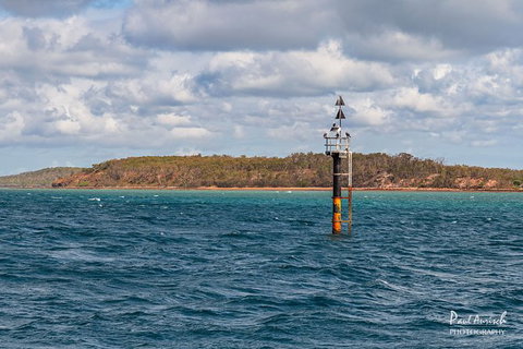 Sandy Straits Scenic & Wildlife Cruise - Accommodation Burleigh 6