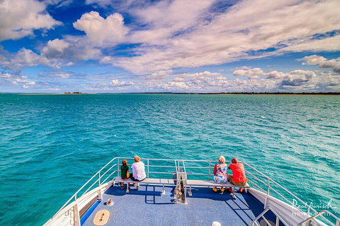 Sandy Straits Scenic & Wildlife Cruise - Accommodation Burleigh 7