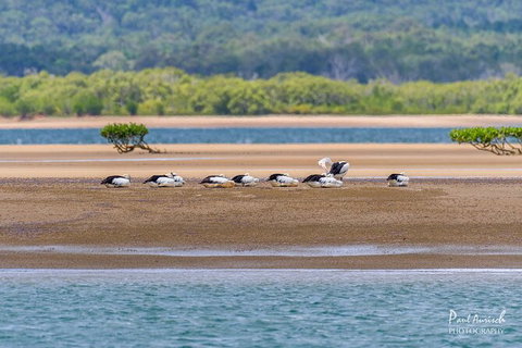 Sandy Straits Scenic & Wildlife Cruise - Accommodation Burleigh 3
