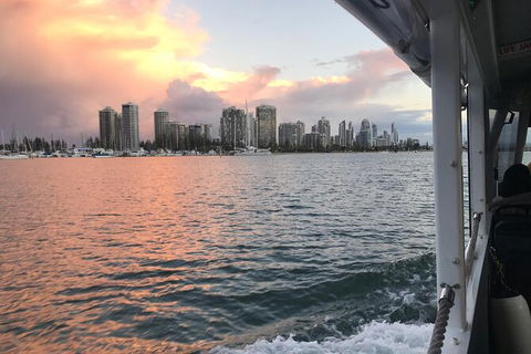 Aquaduck Secrets, Scandals And Sunset Tour - Accommodation Burleigh 5