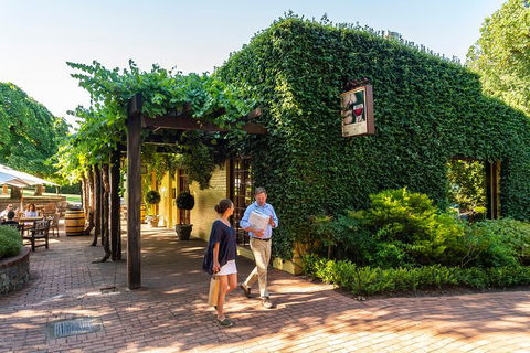 Yalumba Signature Tour - Accommodation Burleigh 3