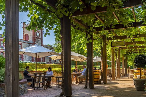 Yalumba Signature Tour - Accommodation Burleigh 4