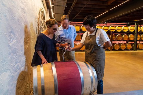 Yalumba Signature Tour - Accommodation Burleigh 6