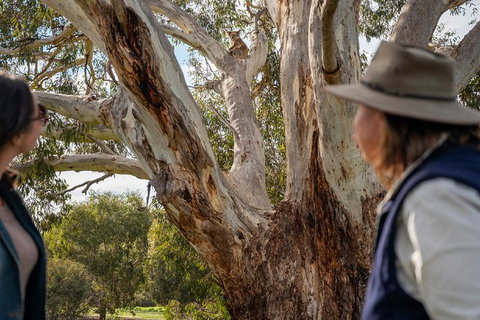 NEW TOUR - Kangaroo Island Road To Recovery Tour (1 Day/1 Night) - Accommodation Burleigh 2