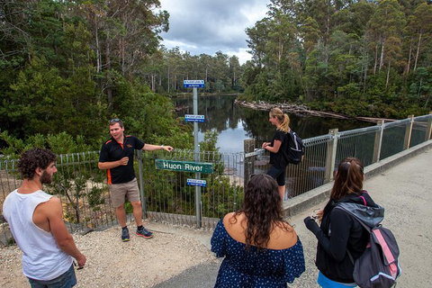 Tahune Airwalk Active Day Trip From Hobart Including Hastings Caves - Accommodation Burleigh 3