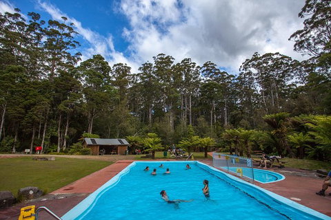 Tahune Airwalk Active Day Trip From Hobart Including Hastings Caves - Accommodation Burleigh 2