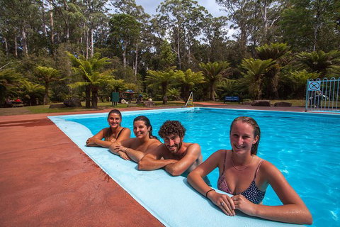Tahune Airwalk Active Day Trip From Hobart Including Hastings Caves - Accommodation Burleigh 4